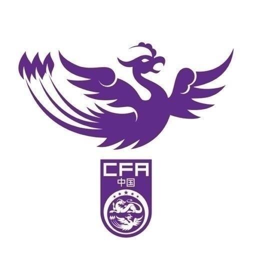  津媒：两战日本1胜1平，这支中国U17女足国家队具备极大潜力